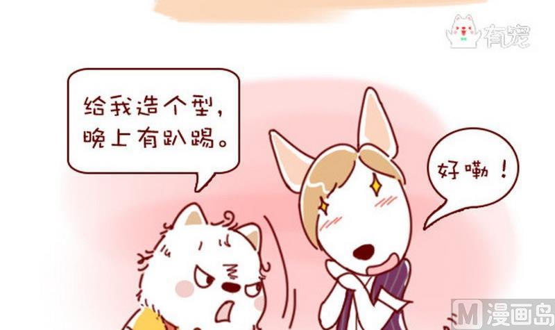 🍜有宠百科 第40话 第3页