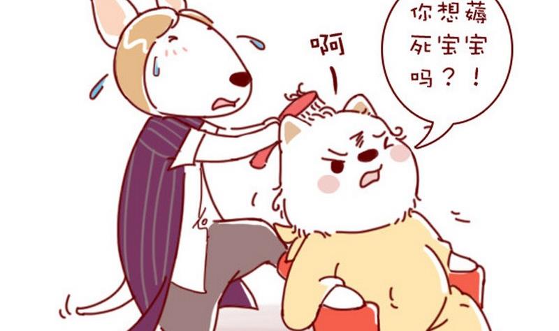 🍜有宠百科 第40话 第5页
