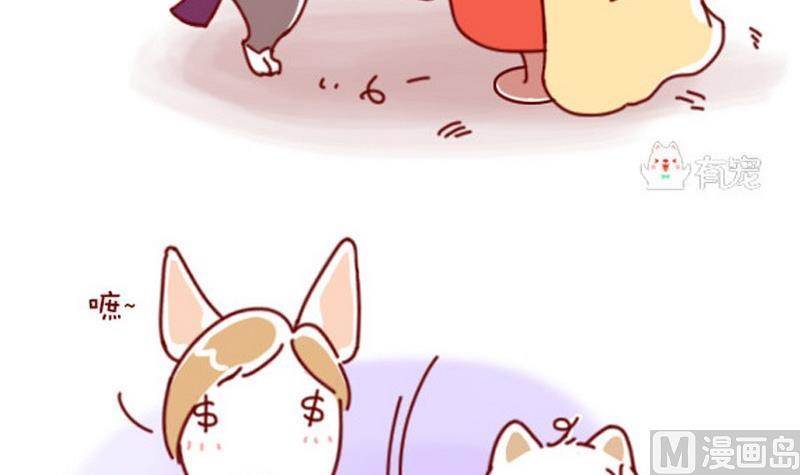 🍜有宠百科 第40话 第6页