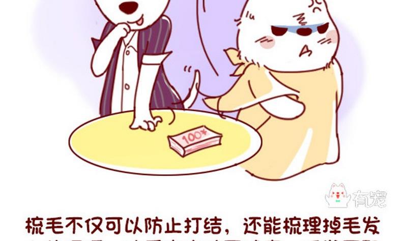 🍜有宠百科 第40话 第7页