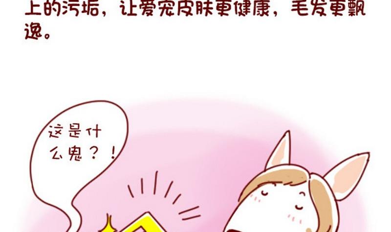🍜有宠百科 第40话 第8页