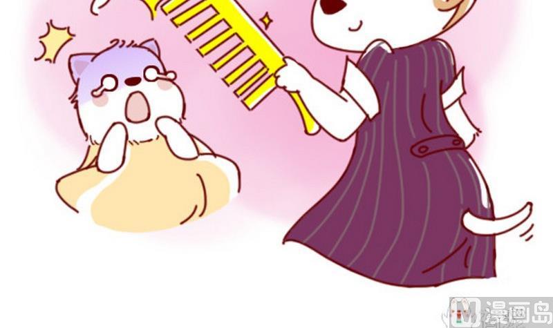 🍜有宠百科 第40话 第9页