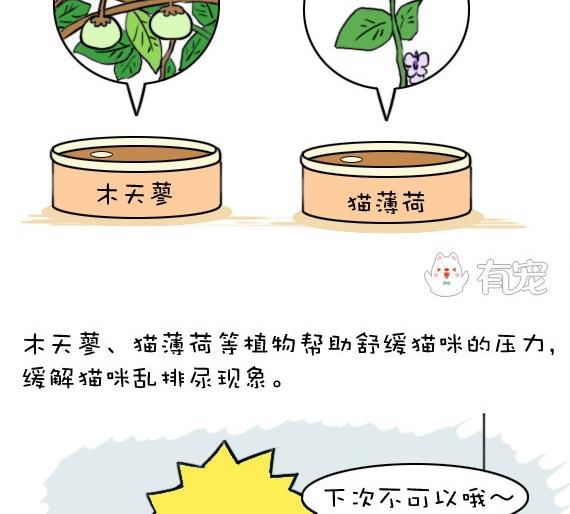 🍜有宠百科 第42话 第10页