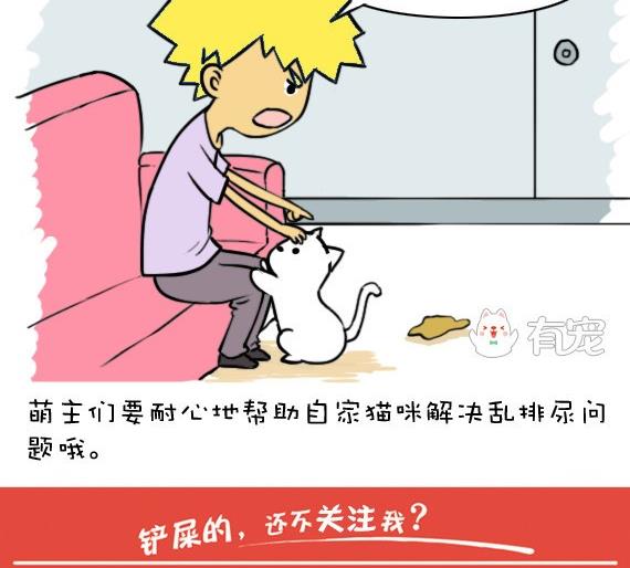 🍜有宠百科 第42话 第11页