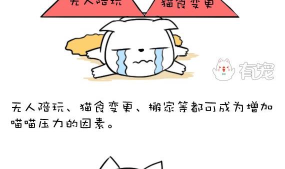 🍜有宠百科 第42话 第4页