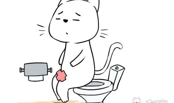🍜有宠百科 第42话 第5页