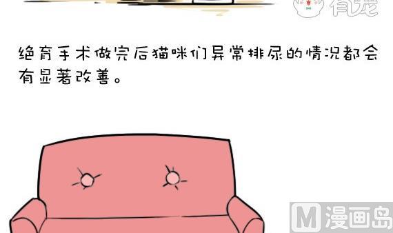 🍜有宠百科 第42话 第6页