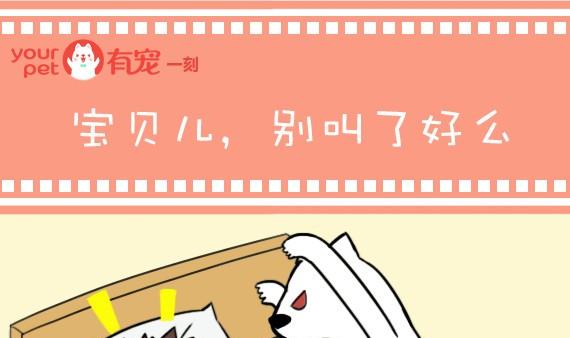 🍜有宠百科 第44话 第1页