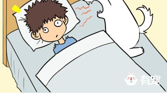 🍜有宠百科 第44话 第2页