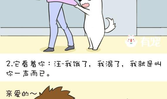 🍜有宠百科 第44话 第4页