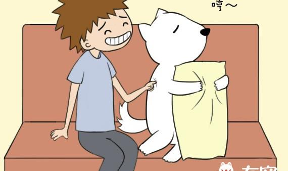 🍜有宠百科 第44话 第5页