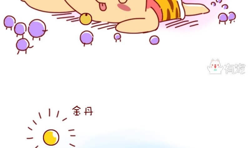 🍜有宠百科 第46话 第10页