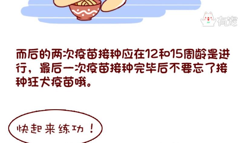 🍜有宠百科 第46话 第14页
