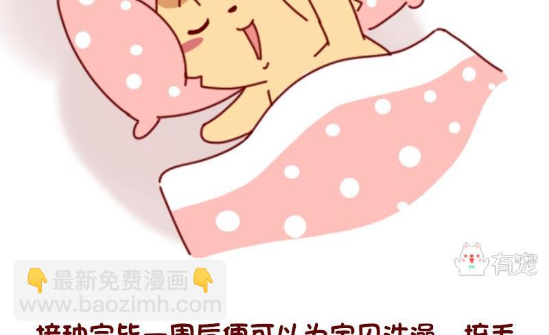 🍜有宠百科 第46话 第16页