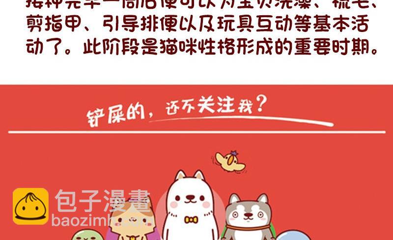 🍜有宠百科 第46话 第17页