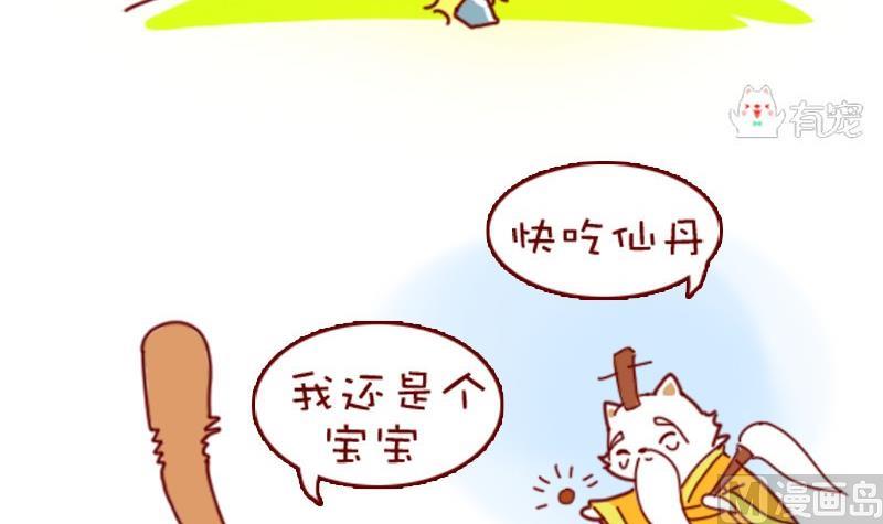 🍜有宠百科 第46话 第3页