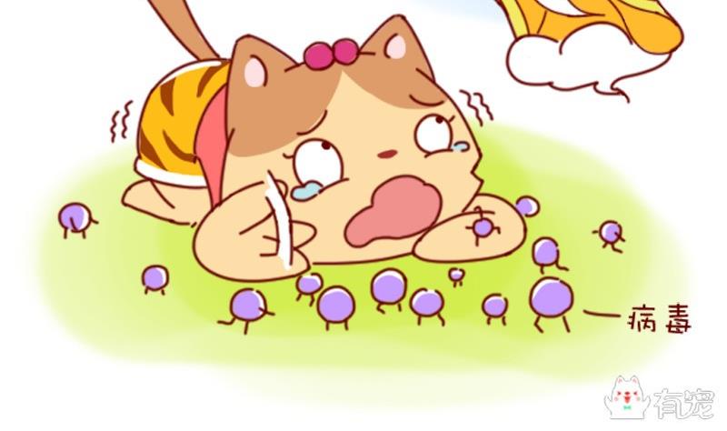 🍜有宠百科 第46话 第4页