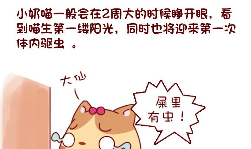 🍜有宠百科 第46话 第5页