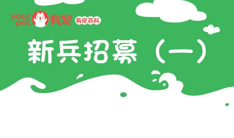 🍜有宠百科 第48话 第1页