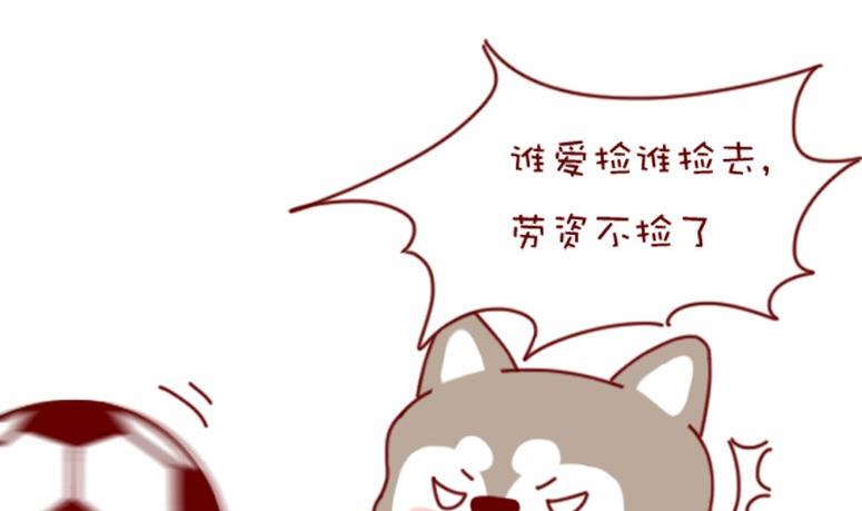 🍜有宠百科 第48话 第17页
