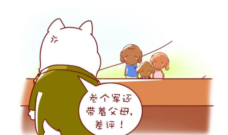 🍜有宠百科 第48话 第2页