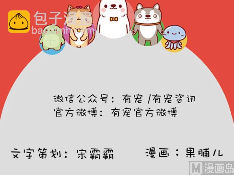 🍜有宠百科 第48话 第30页