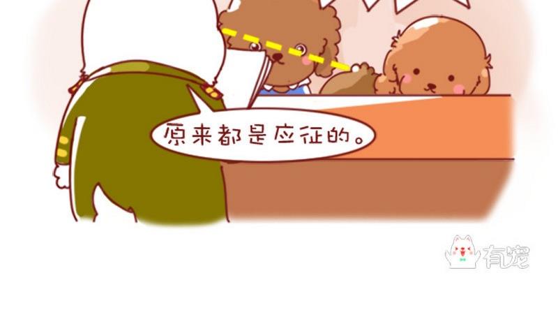 🍜有宠百科 第48话 第4页
