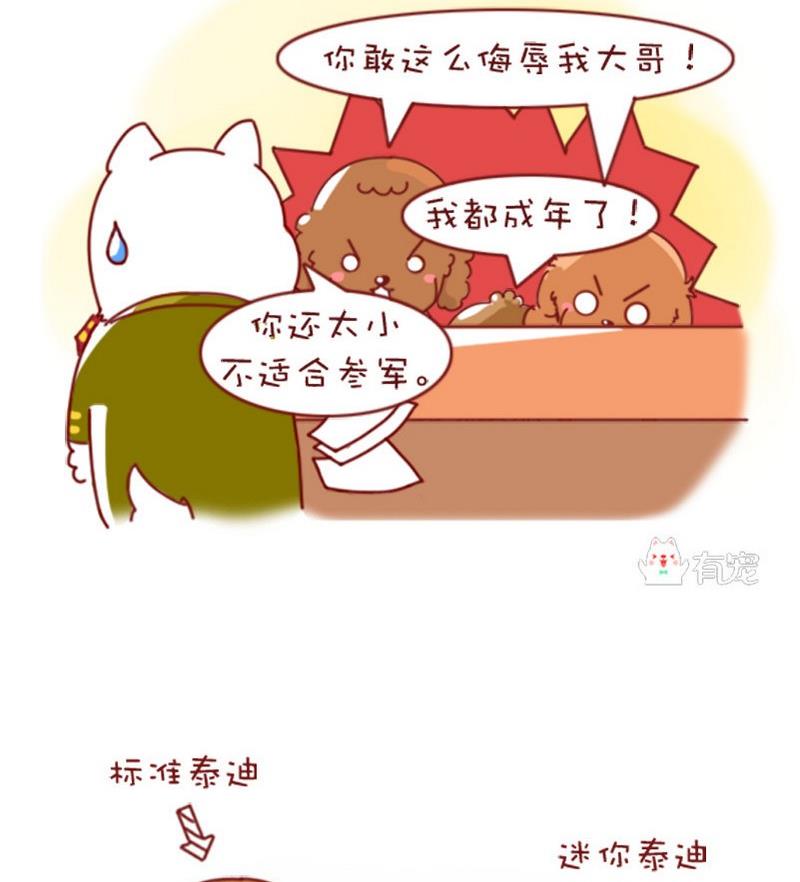 🍜有宠百科 第48话 第7页