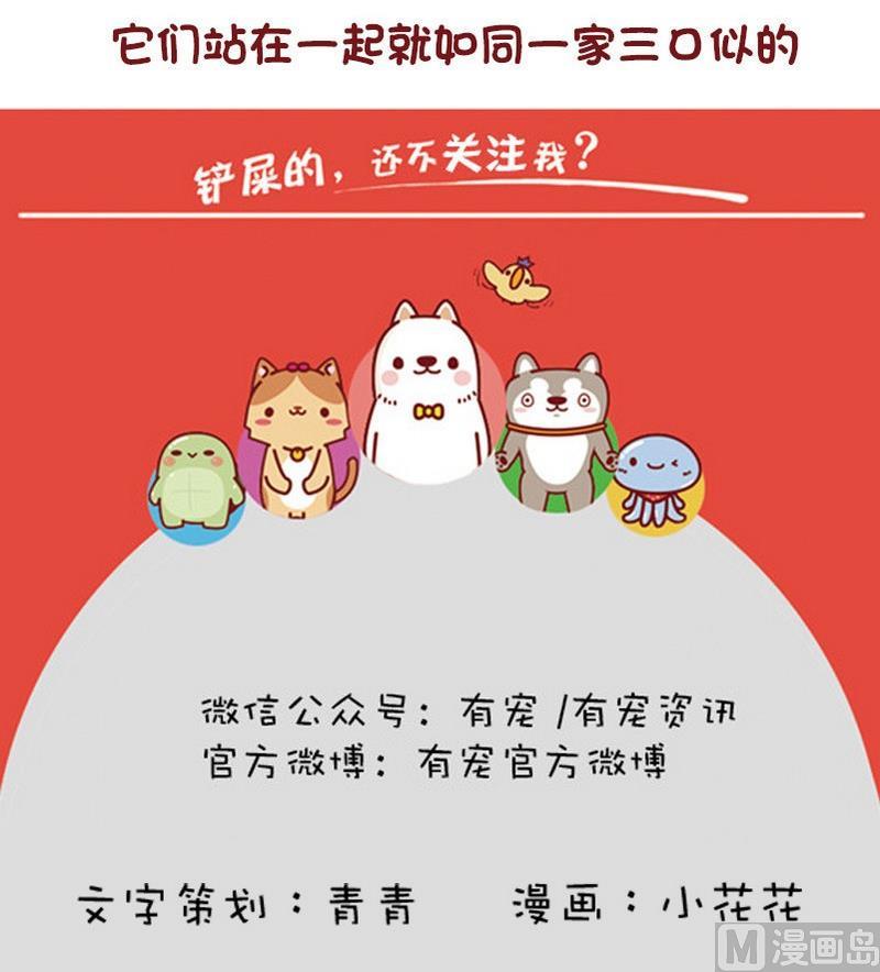 🍜有宠百科 第48话 第9页