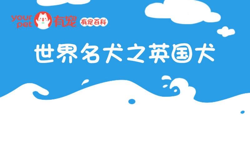 🍜有宠百科 第50话 第1页