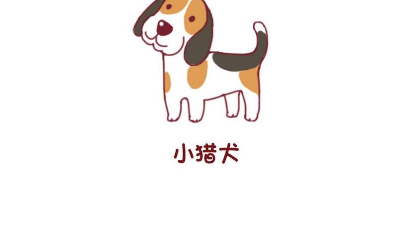 🍜有宠百科 第50话 第10页