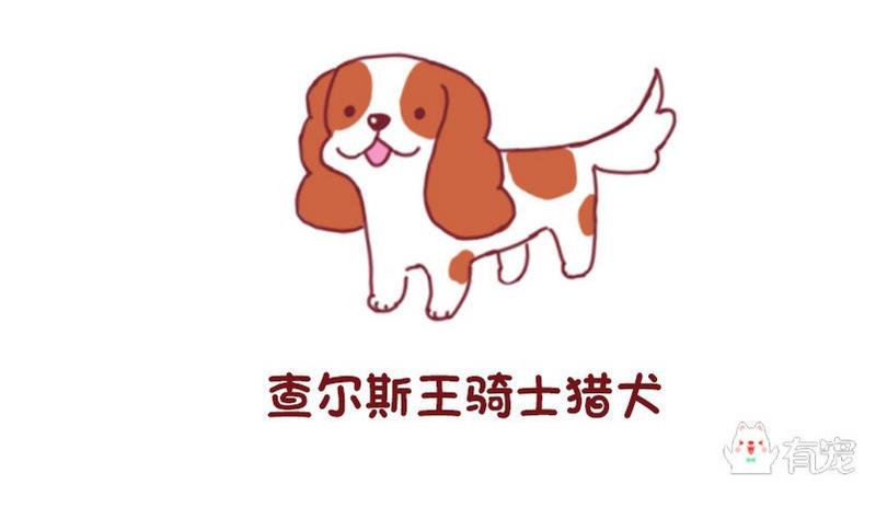 🍜有宠百科 第50话 第11页