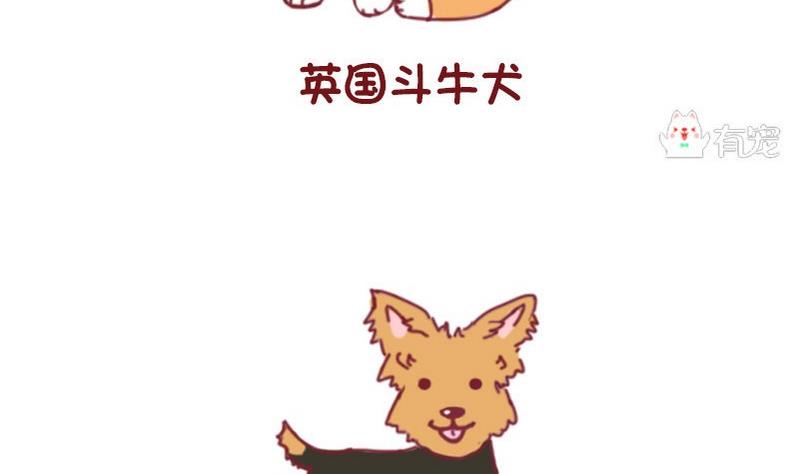 🍜有宠百科 第50话 第14页