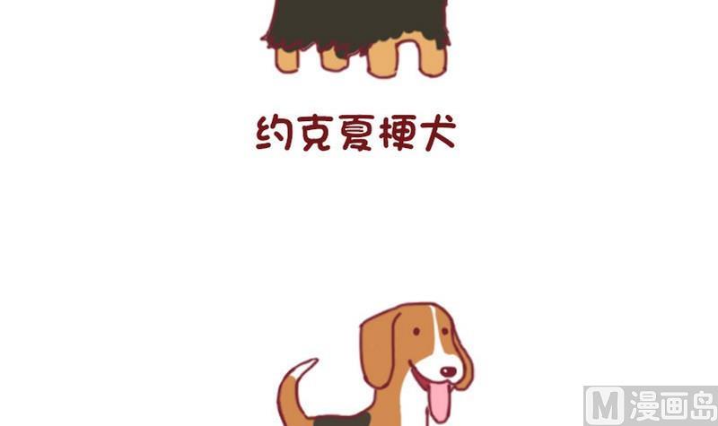 🍜有宠百科 第50话 第15页