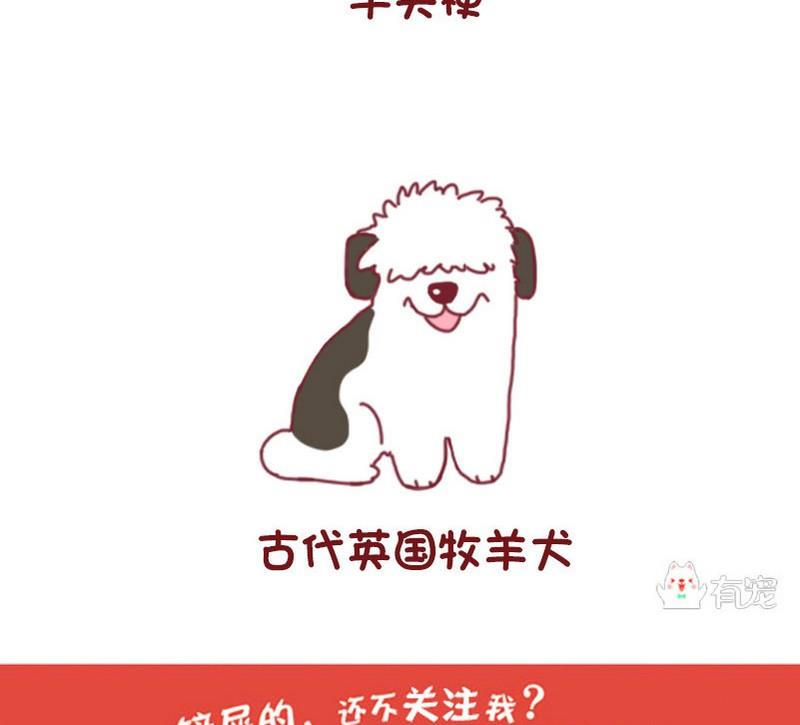 🍜有宠百科 第50话 第17页
