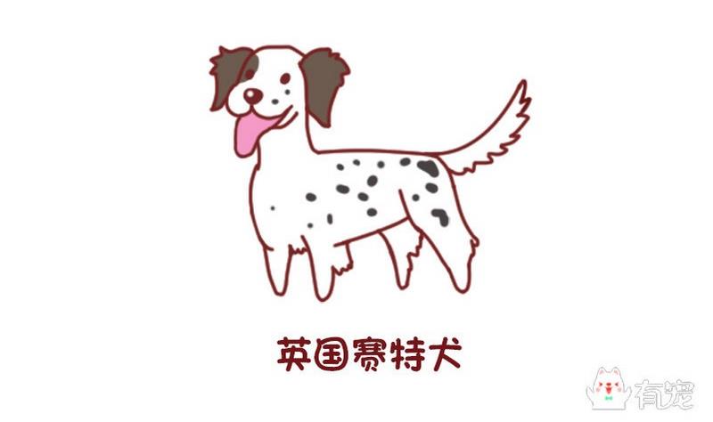 🍜有宠百科 第50话 第2页
