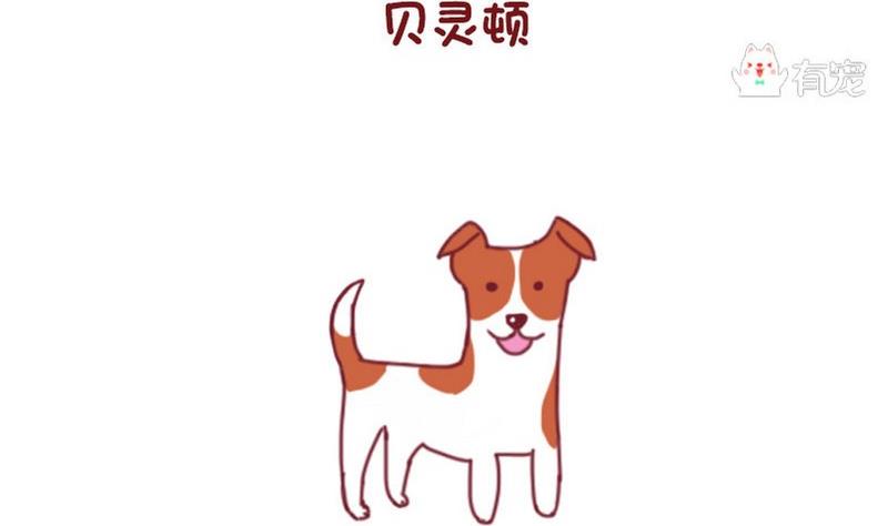 🍜有宠百科 第50话 第5页
