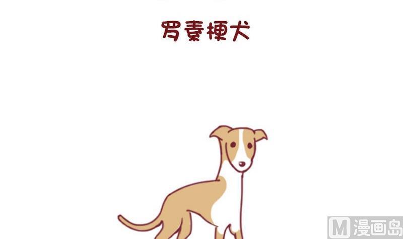 🍜有宠百科 第50话 第6页