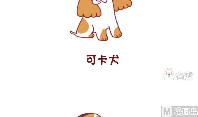 🍜有宠百科 第50话 第9页