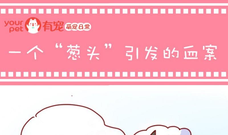 🍜有宠百科 第6话 第1页