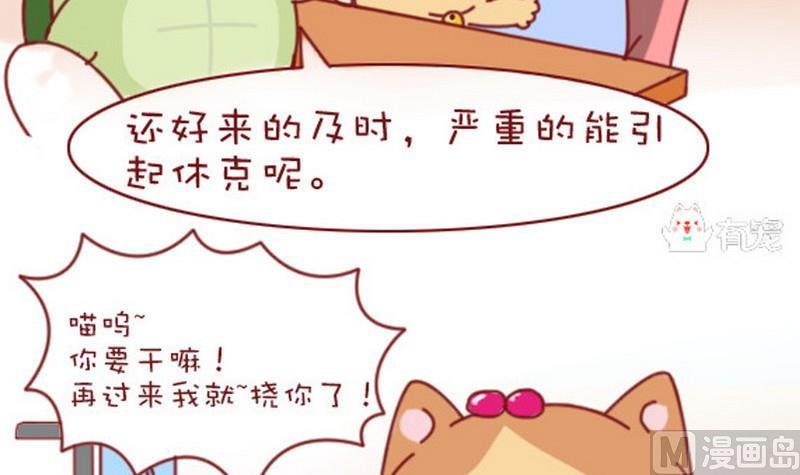 🍜有宠百科 第6话 第15页