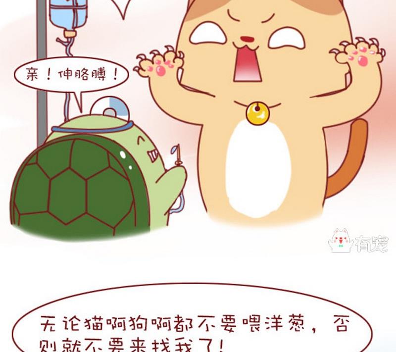 🍜有宠百科 第6话 第16页
