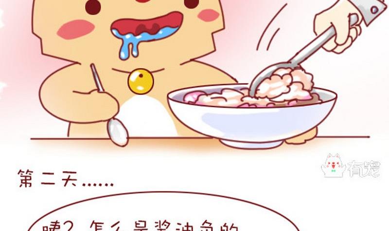 🍜有宠百科 第6话 第4页