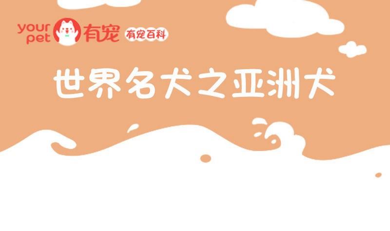 🍜有宠百科 第52话 第1页