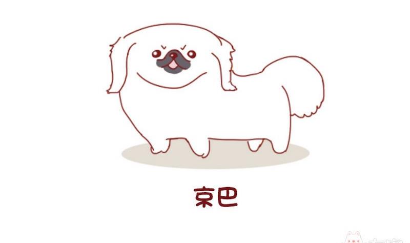 🍜有宠百科 第52话 第11页
