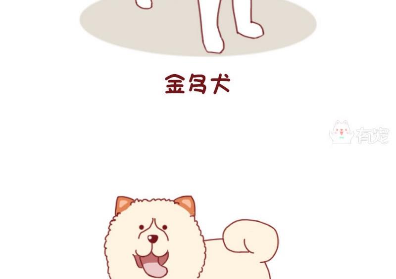 🍜有宠百科 第52话 第16页