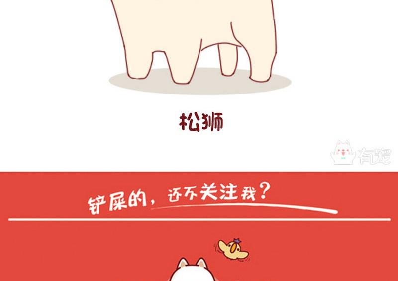 🍜有宠百科 第52话 第17页