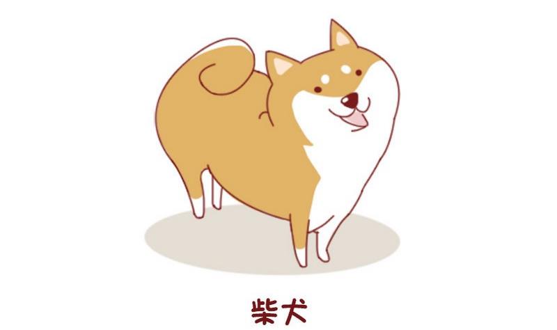 🍜有宠百科 第52话 第2页