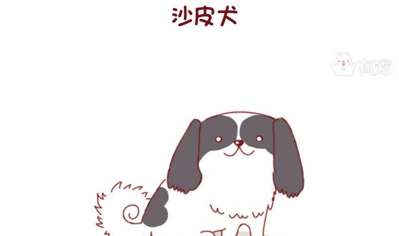 🍜有宠百科 第52话 第4页