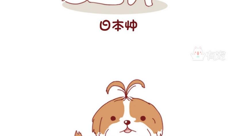 🍜有宠百科 第52话 第5页
